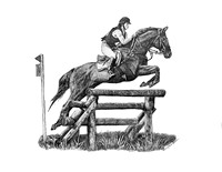 Horse Eventing and Jumping
