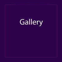 Gallery Slideshow